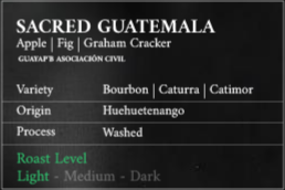 Sacred Guatemala – Light Roast Arabica